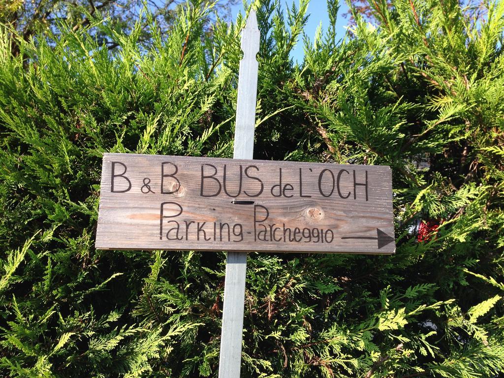 Bus De L'Och Bed & Breakfast Фелтре Екстериор снимка